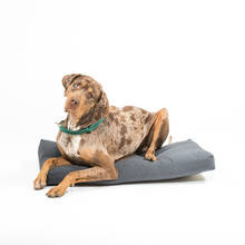 Vankúš pre psa 90x50x10 cm